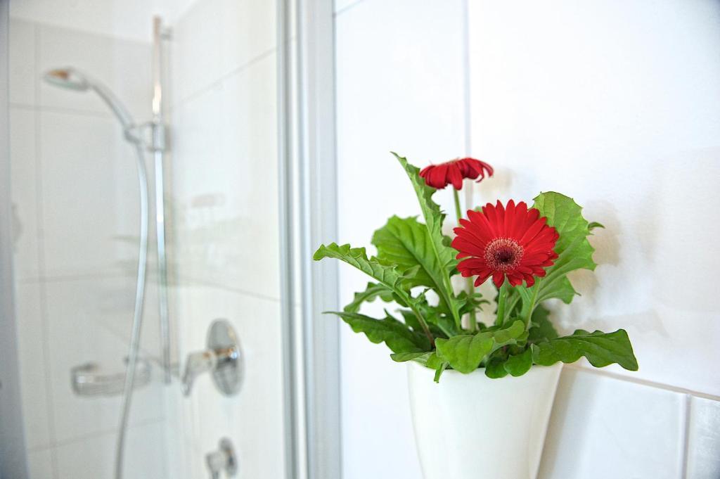Greenhome Appartement 니에데른실 객실 사진