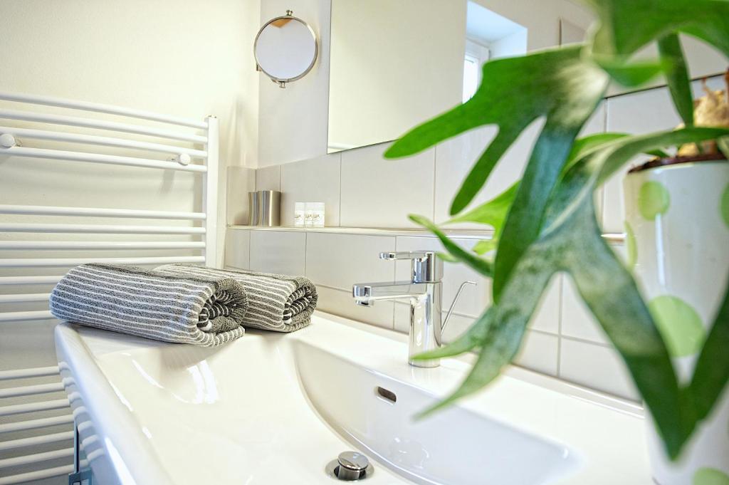 Greenhome Appartement 니에데른실 객실 사진